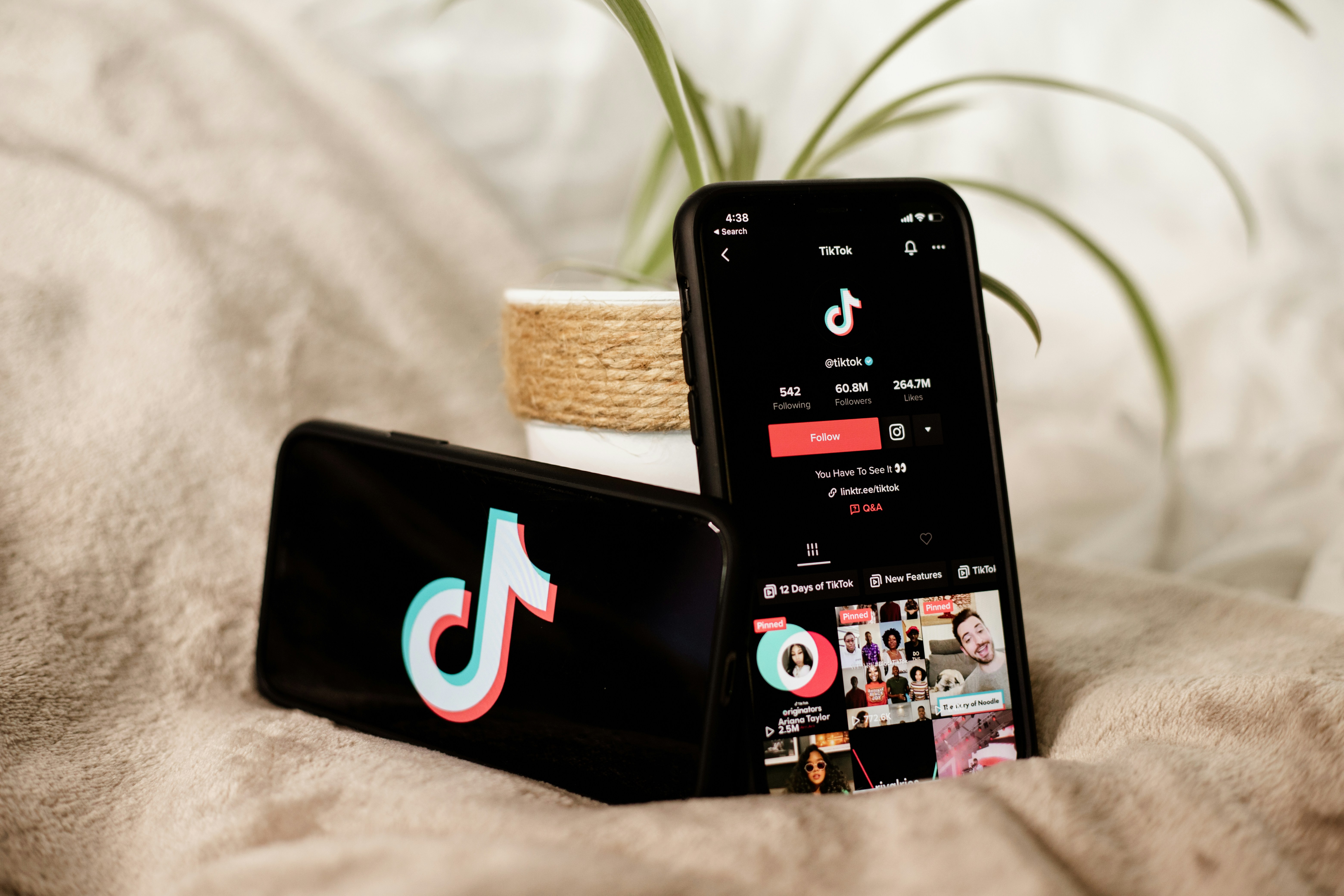 How to Start a Food TikTok Account and Get Your First 10K Followers thumbnail